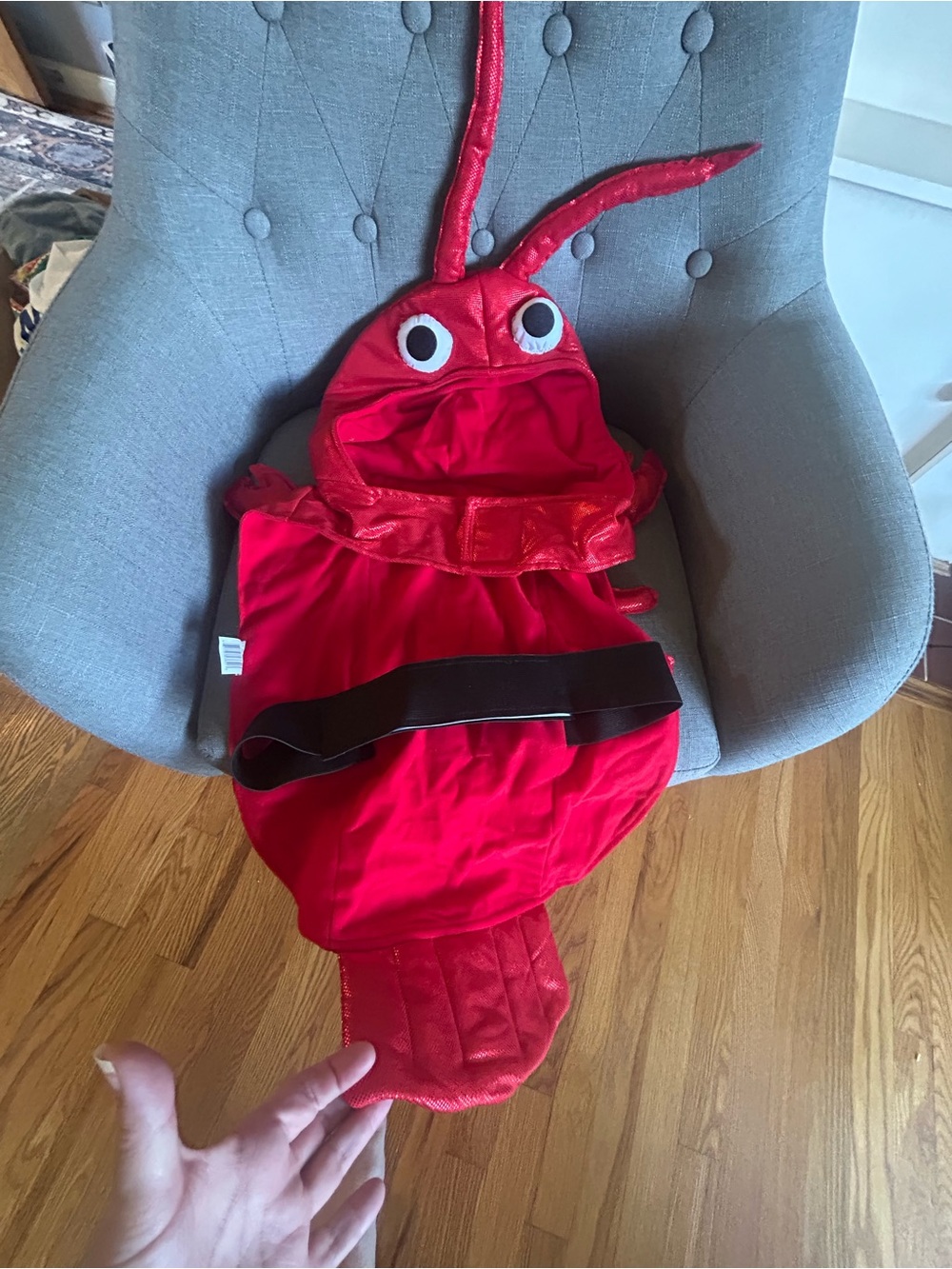 Halloween dog crab size large Costume with Hood